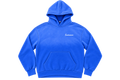 EUDEMONIC WASHED SCRIPT HOODIE