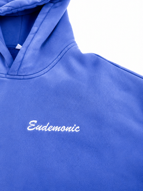 EUDEMONIC WASHED SCRIPT HOODIE