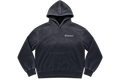 EUDEMONIC WASHED SCRIPT HOODIE