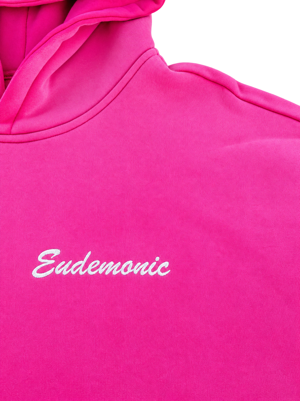 EUDEMONIC WASHED SCRIPT HOODIE