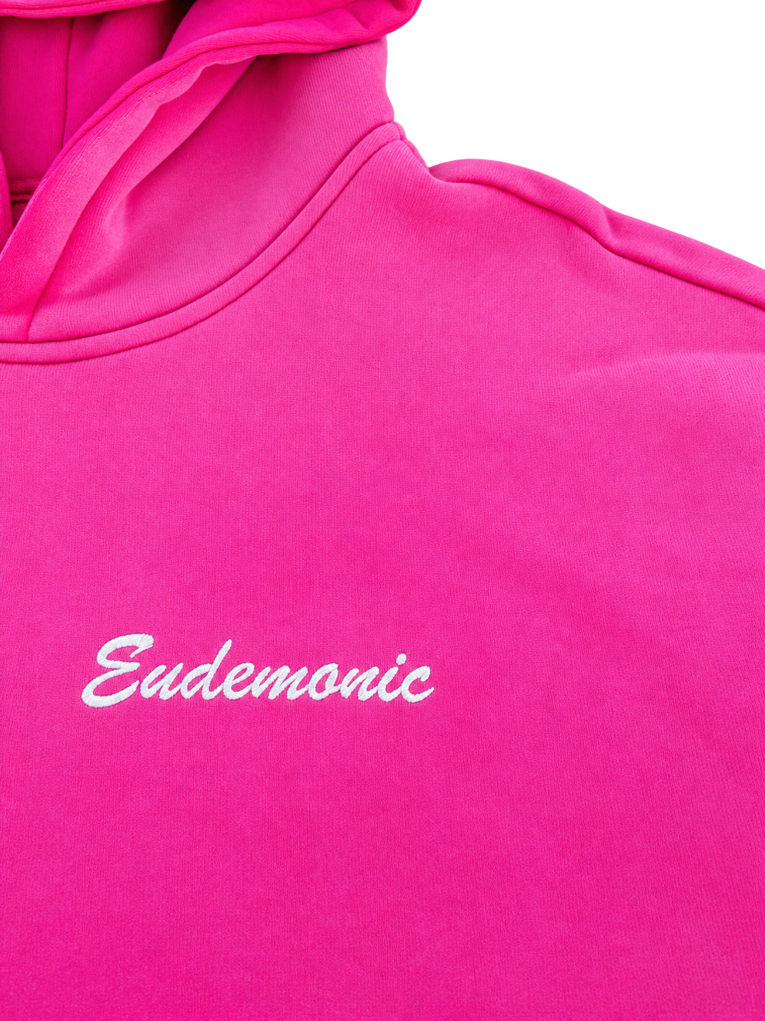 EUDEMONIC WASHED SCRIPT HOODIE