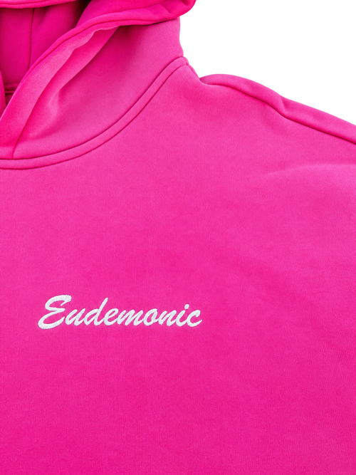 EUDEMONIC WASHED SCRIPT HOODIE