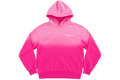 EUDEMONIC WASHED SCRIPT HOODIE