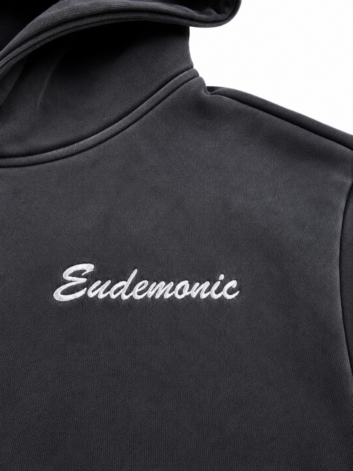 EUDEMONIC WASHED SCRIPT HOODIE