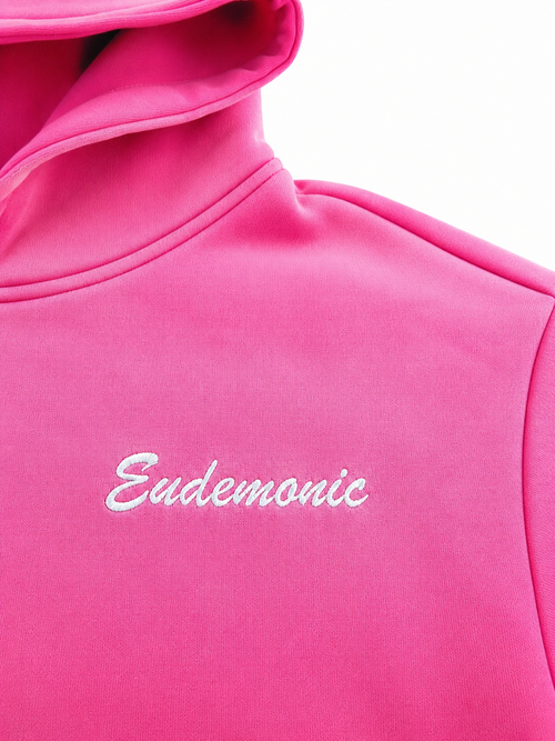 EUDEMONIC WASHED SCRIPT HOODIE