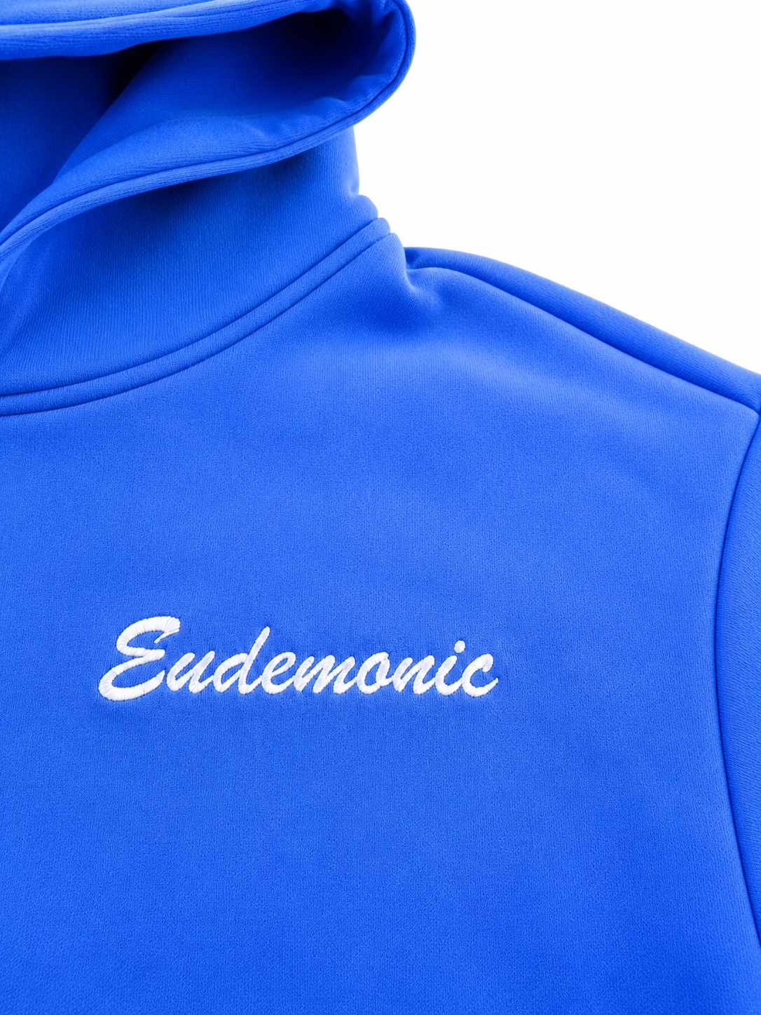 EUDEMONIC WASHED SCRIPT HOODIE