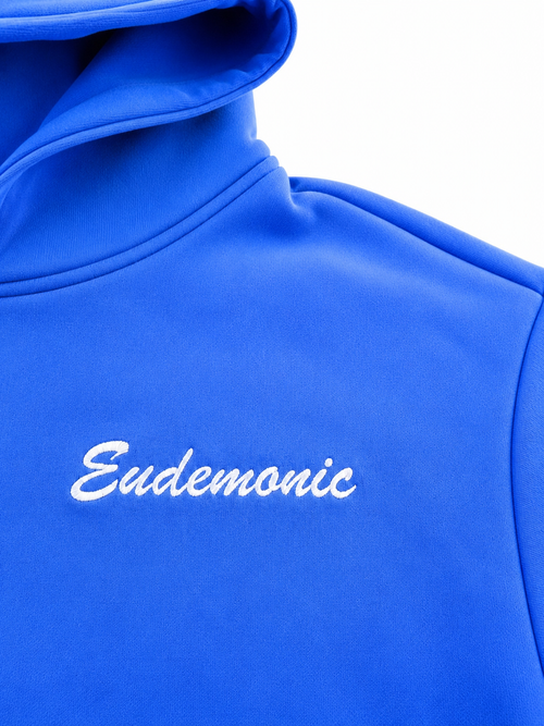 EUDEMONIC WASHED SCRIPT HOODIE